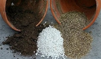 تصویر 1 از خرید و قیمت خاک مخصوص سانسوریا پاکوتاه + فروش عمده